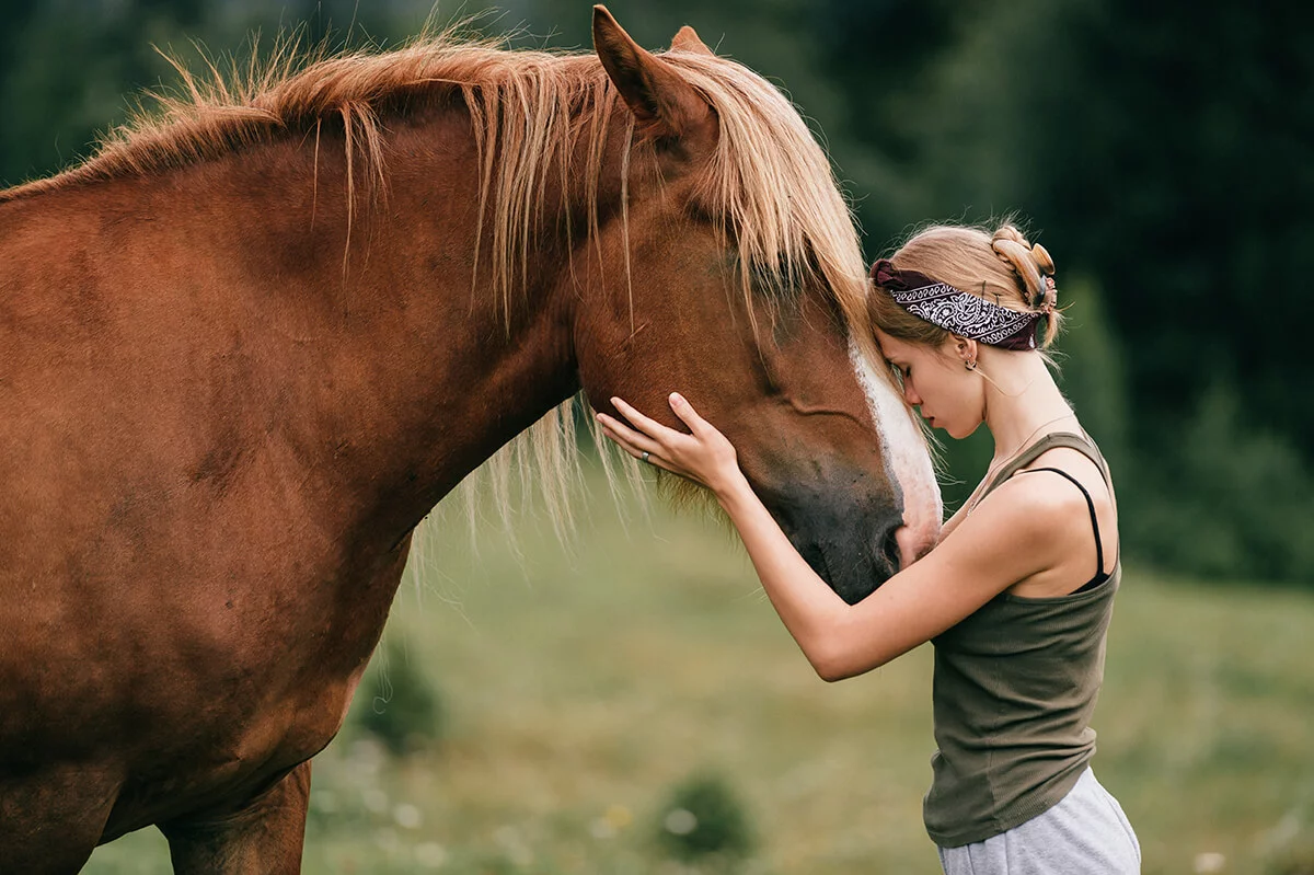 equine therapy