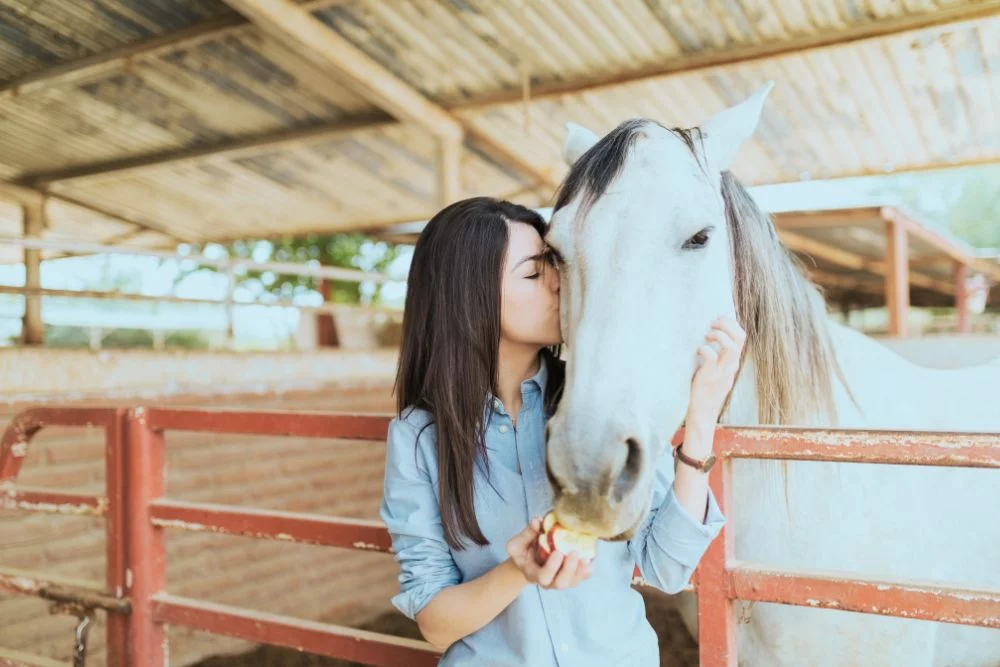woman with horse in equine therapy
